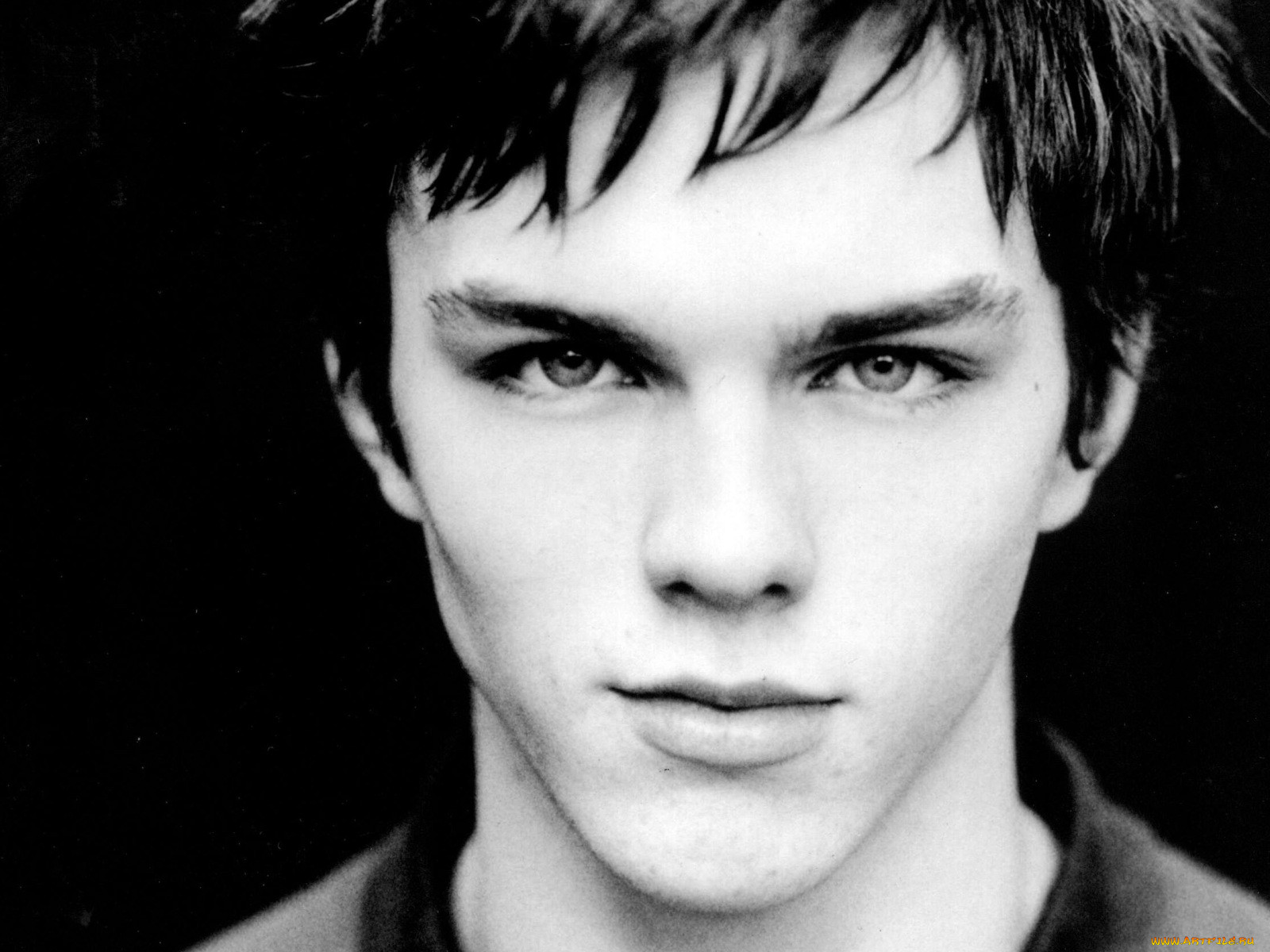 nicholas, hoult, 